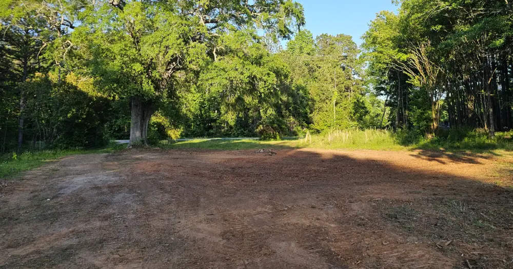 Debris Removal — After