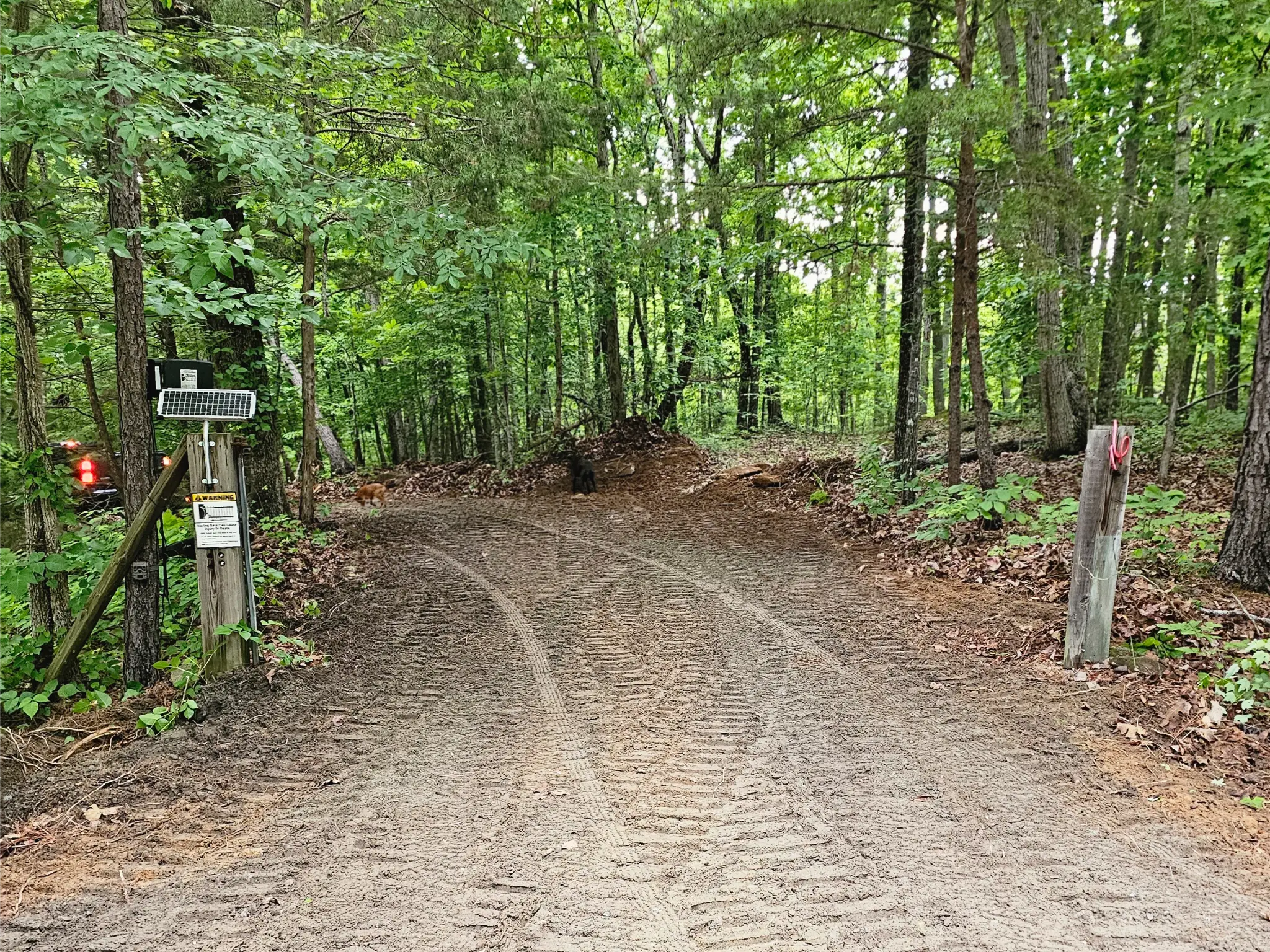 After — driveway cleared and restored