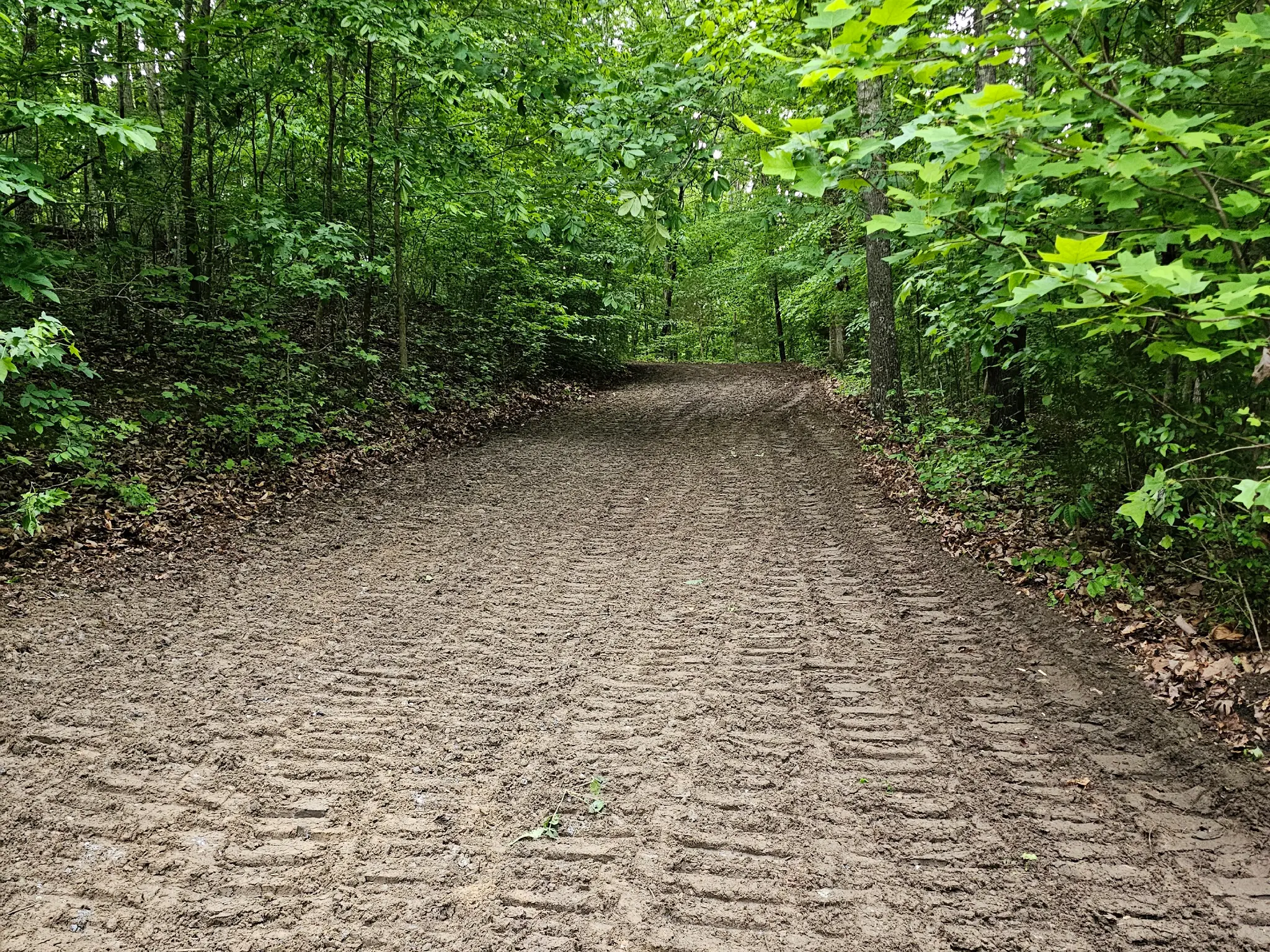 Driveway Clearing Through Woods