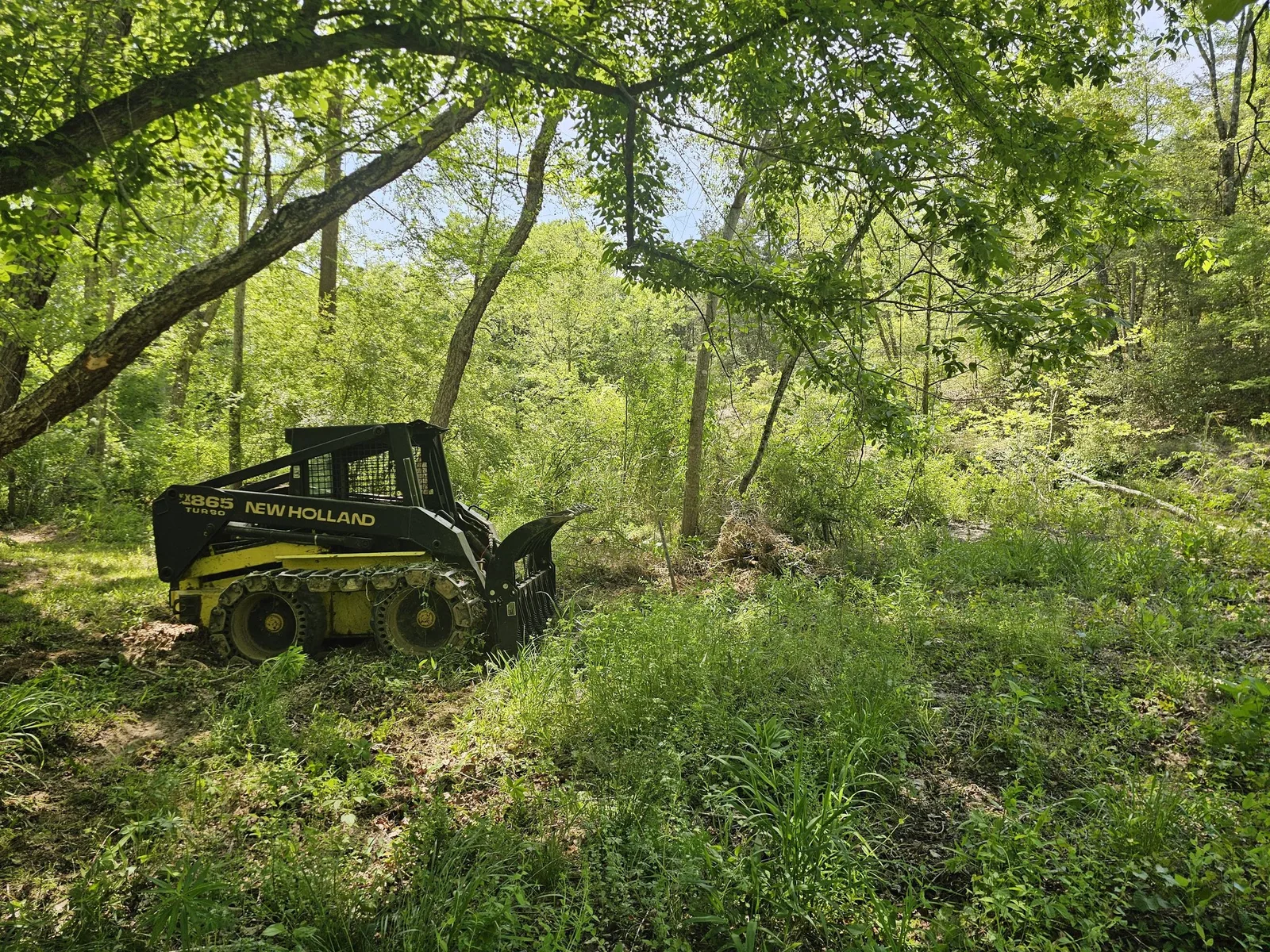 Residential Lot Clearing