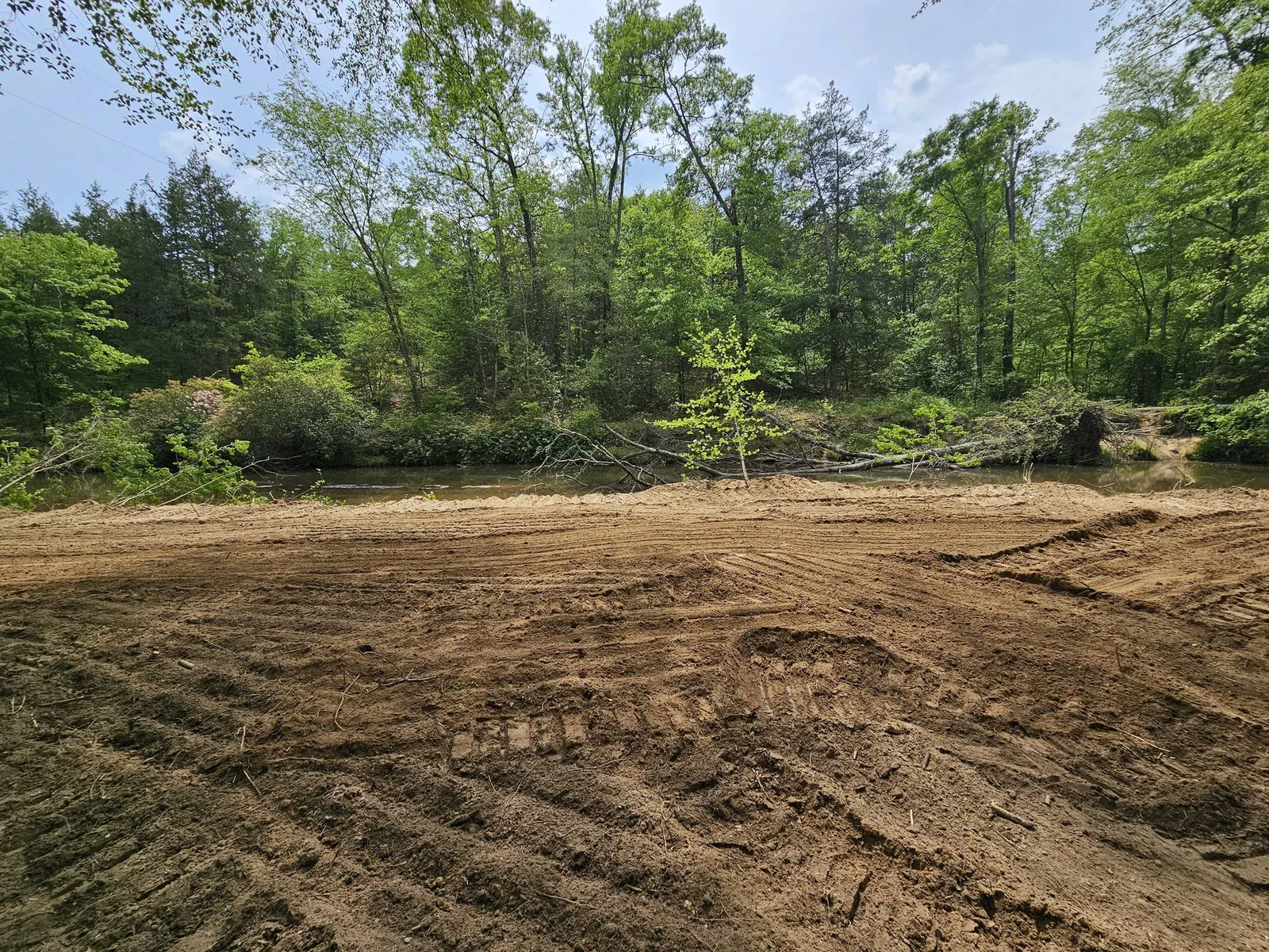 Lake Bank Clearing