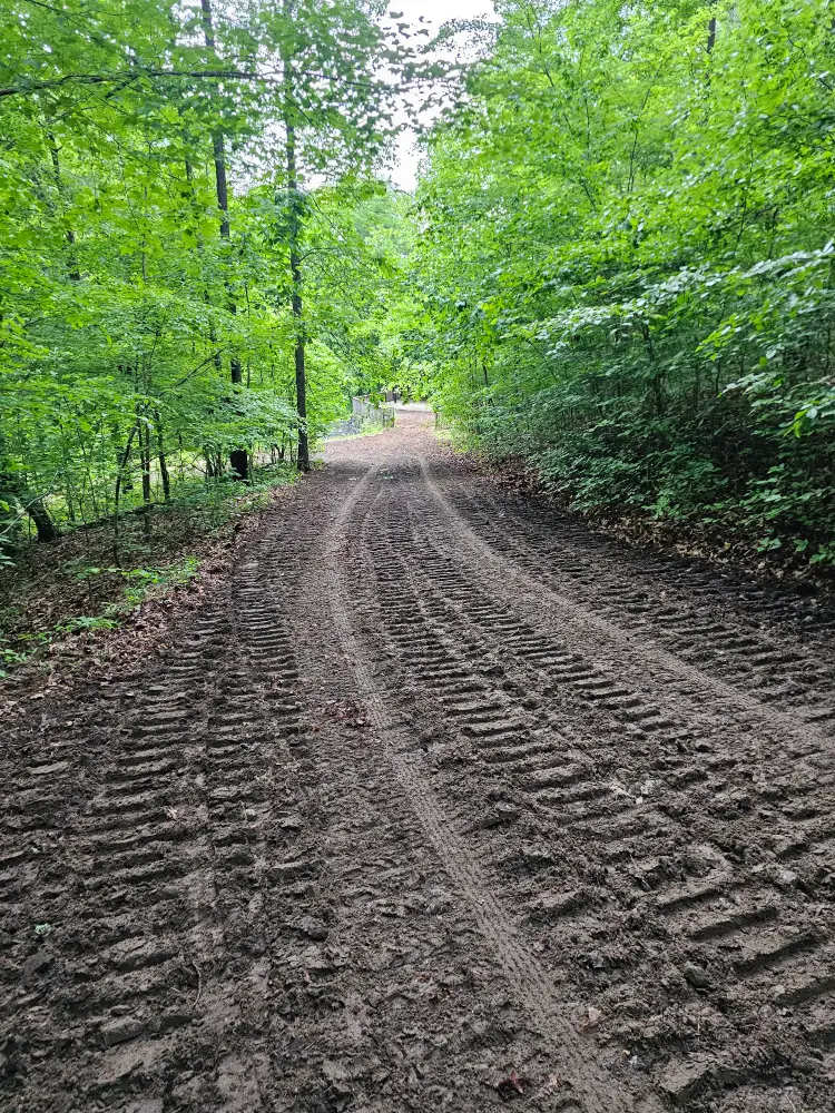 Driveway Clearing Through Woods