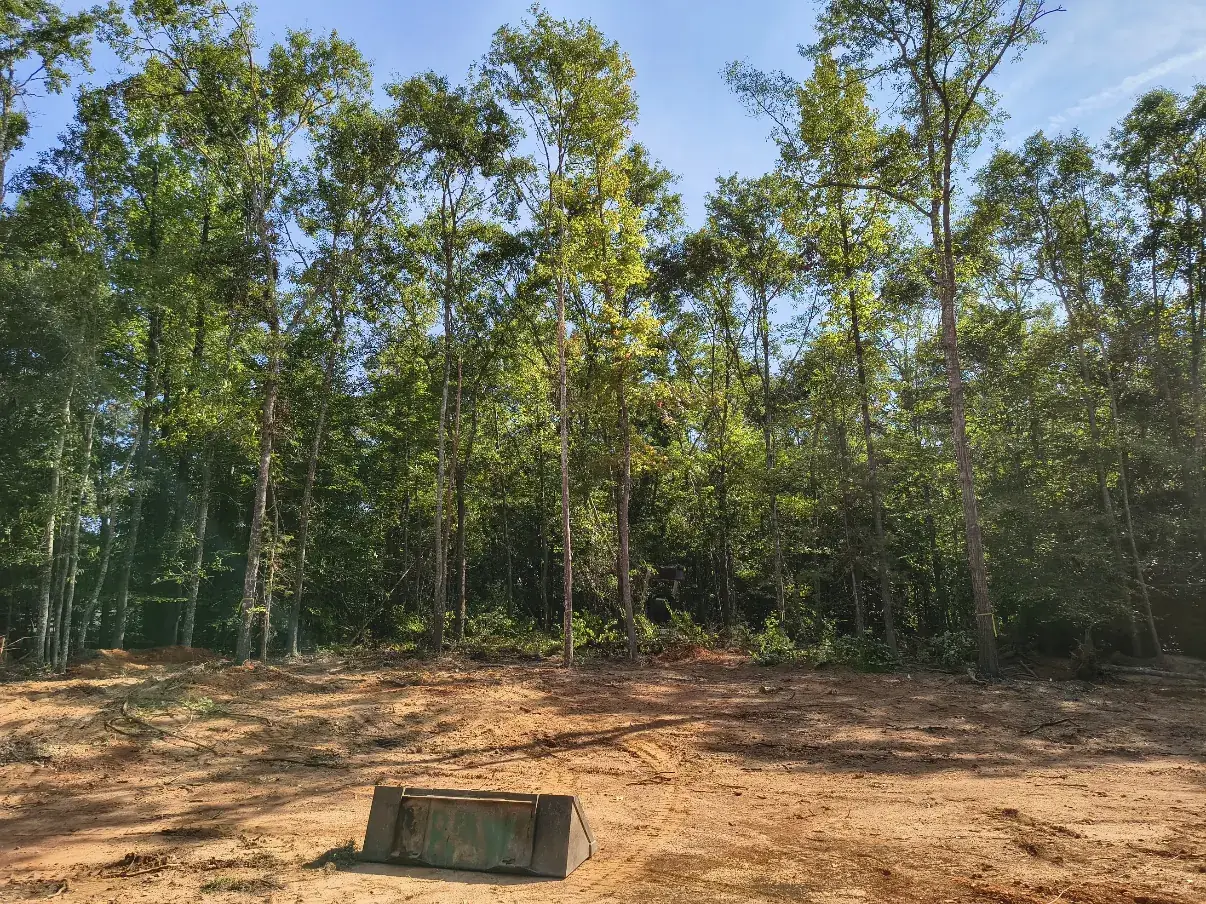 Partially cleared lot with trees still standing behind