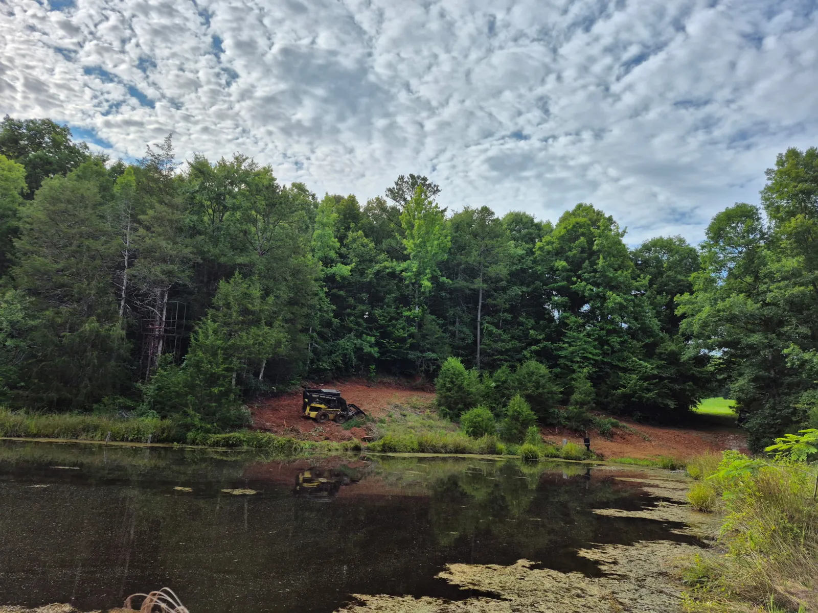 Pond Bank Clearing in Progress